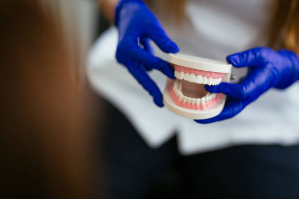 Best Dental Exams and Cleanings  in Preston, MN