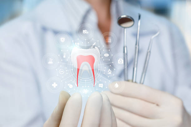 Professional Dental Services in Preston, MN